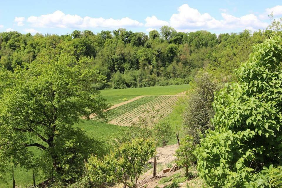 Agriturismo Stazione Di Monta Vicchio Εξωτερικό φωτογραφία